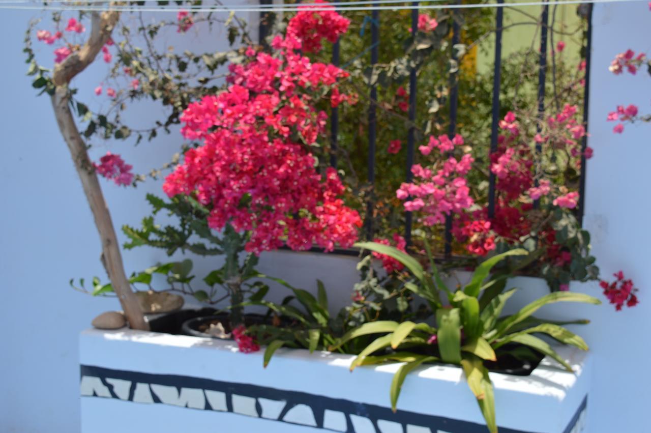 Yacht Club Sal Bed and Breakfast Palmeira Εξωτερικό φωτογραφία